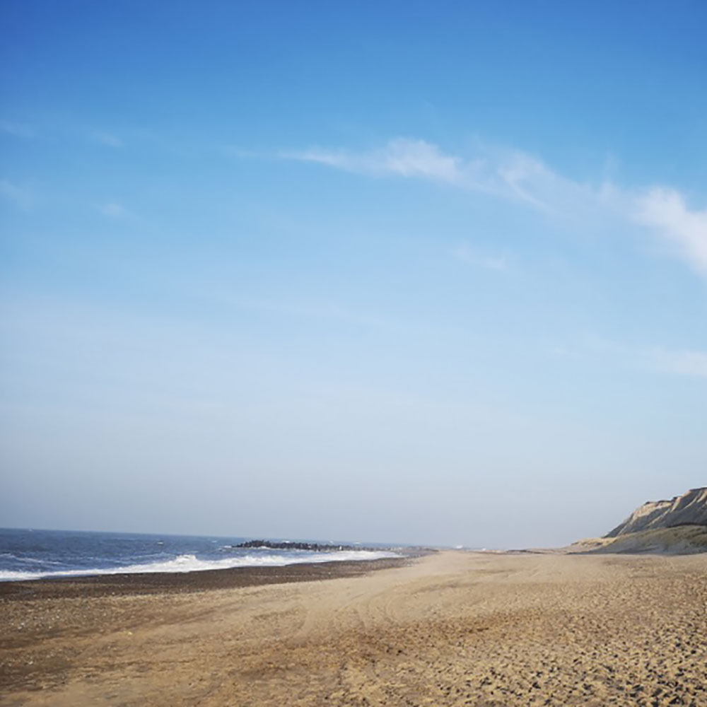 Ferring