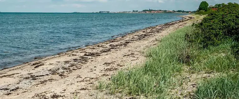 Bogense