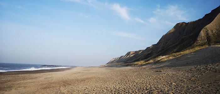 Ferring